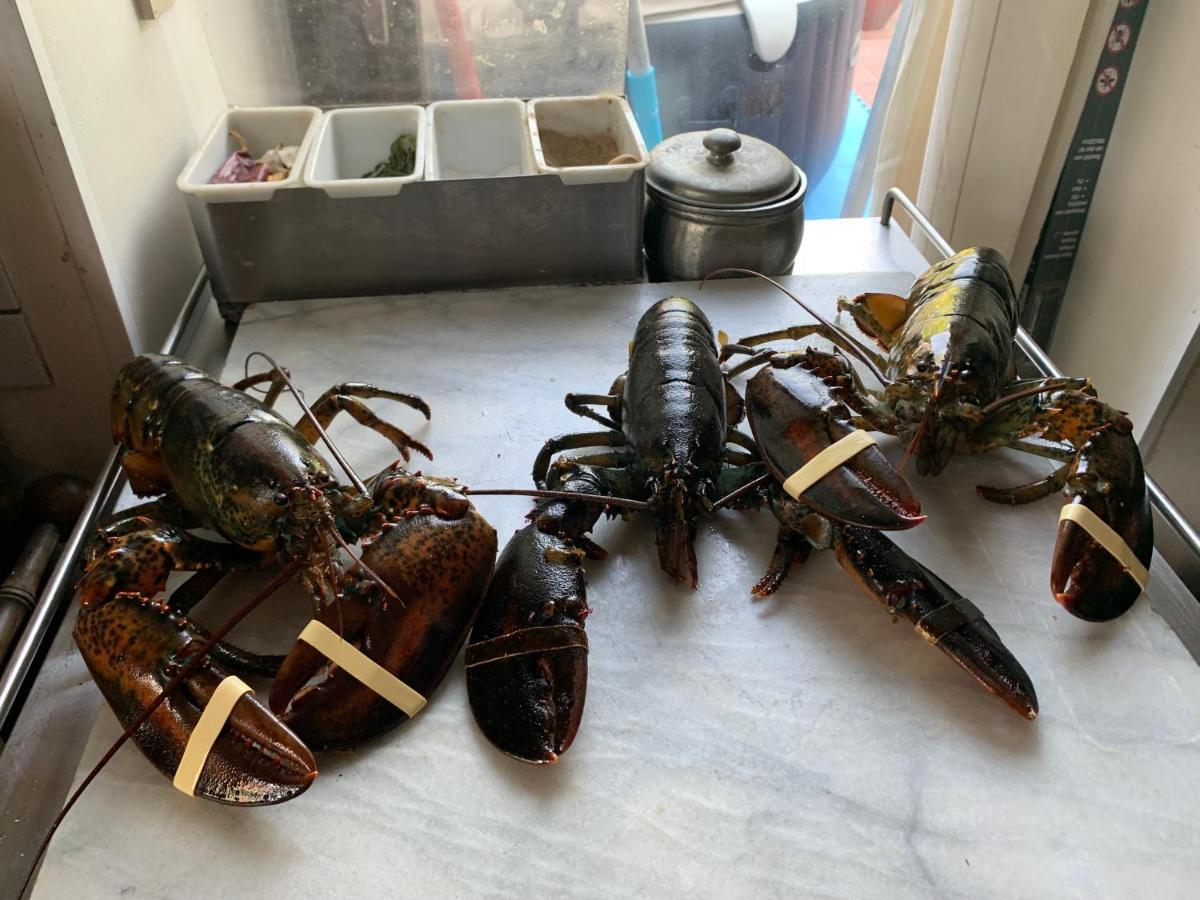 Maison D'Hotes Entre Amis Silly Eksteriør billede